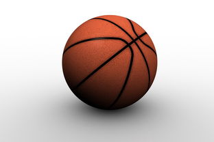 爱游戏娱乐平台-中国篮球职业俱乐部青训人才培养路径探索，篮球青训队招聘条件